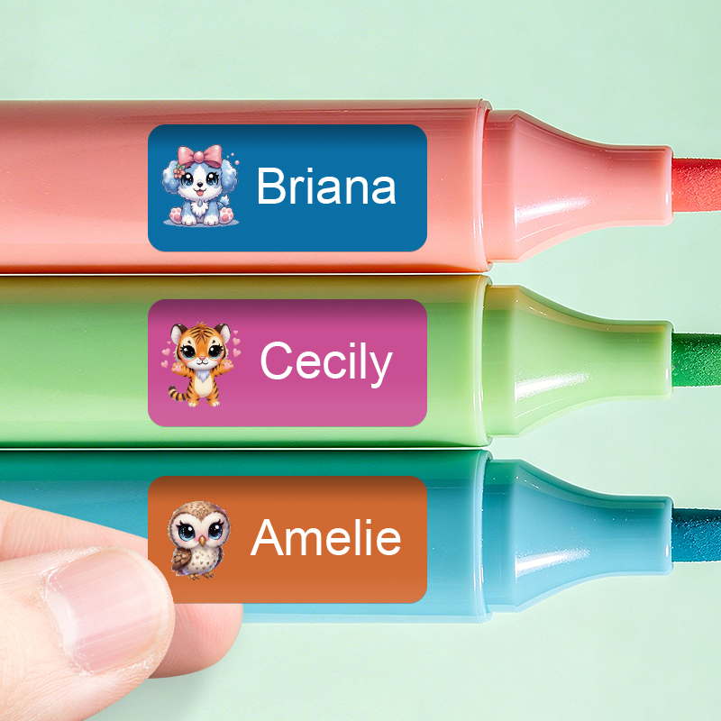 Personalized Name Stickers - C - Personalized Name Box review and price