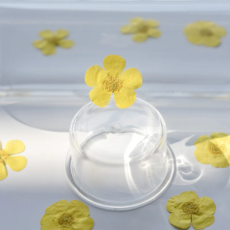 100Pcs Ranunculus Dried Flower - Dried Flower Bookmark review and price